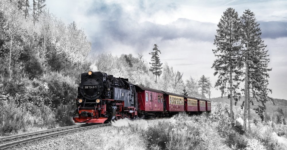 ho-chieu-quyen-luc-2021