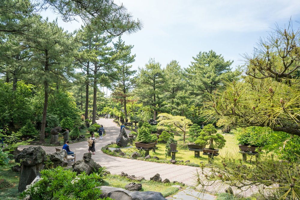 Hallim Park showcases different plants and flowers with each season, such as the hydrangea in June and the lotus flowers in July and August. Image Credits - Jeju Tourism Organization