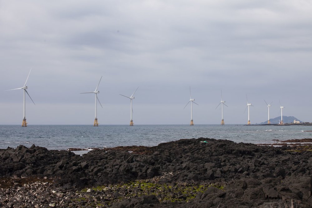 Sinchang Windmill Coastal Road was created as an environmentally friendly way to generate electricity. Image Credits - Jeju Tourism Organization