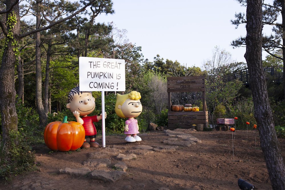 Revisit your childhood at Snoopy Garden in Jeju! Image credits to Snoopy Garden