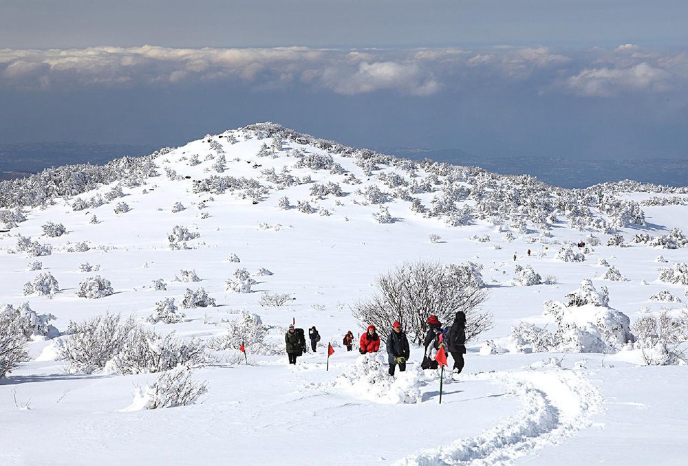 The shortest trail on Mount Hallasan takes about two hours to hike. Image credits to Jeju Tourism Organization