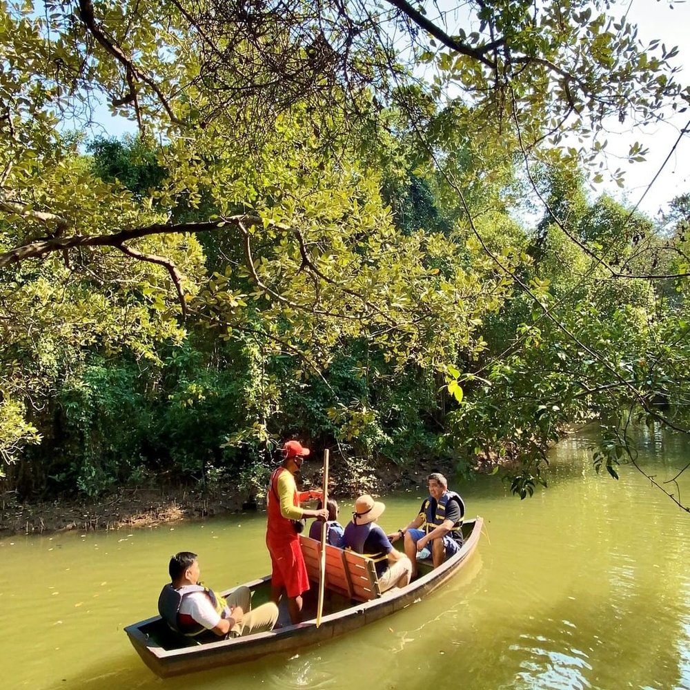 boat ride through the forest
