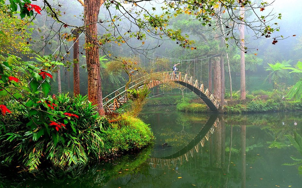 南投人氣景點:溪頭自然教育園區