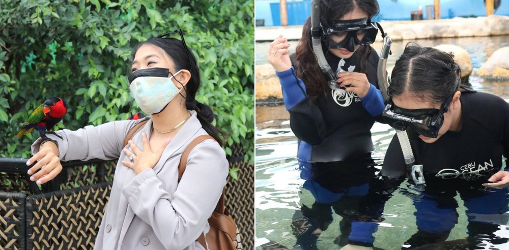 cebu ocean park bird and stingray