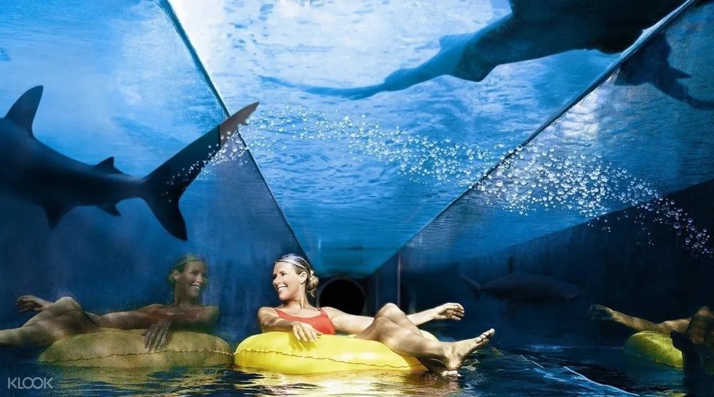 Feel like a mermaid at Lost Chambers Aquarium!