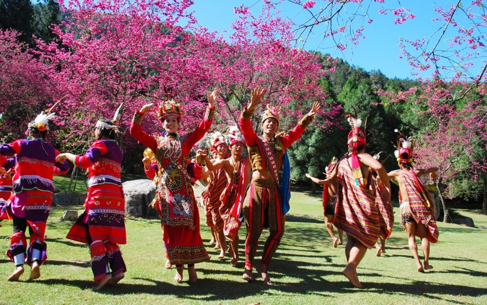 九族文化村:九族櫻花季