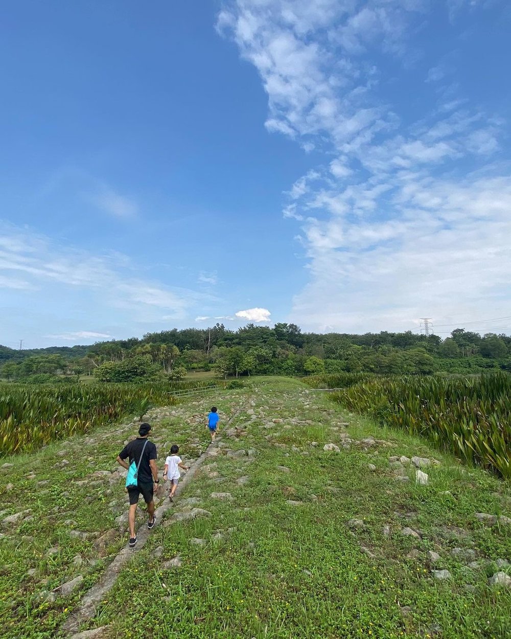 nature walk at Putrajaya Wetlands Park best thing to do in Putrajaya