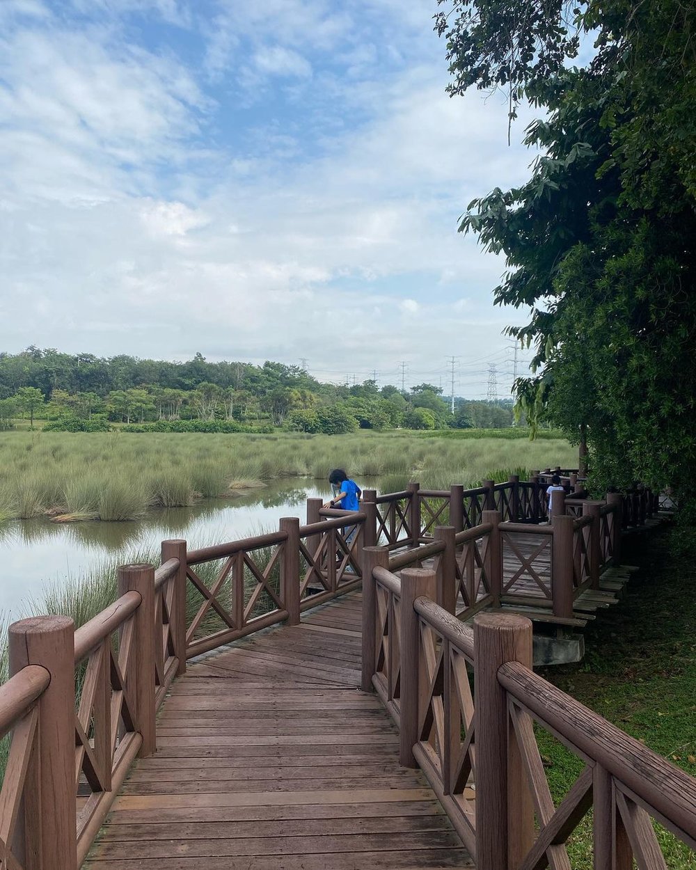 Putrajaya Wetlands Park top place to visit in Putrajaya