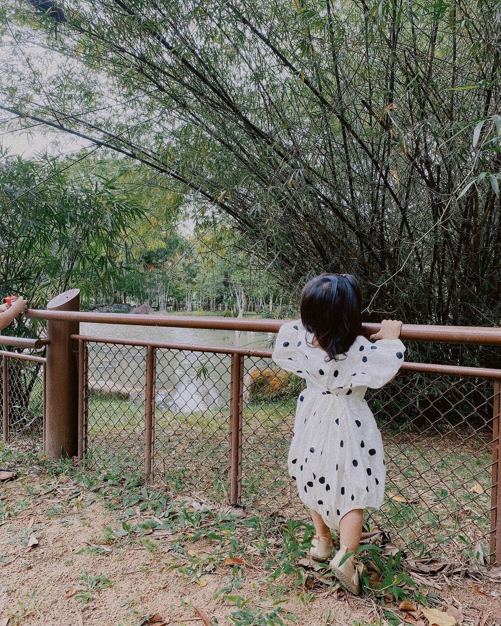 Nature Walk At Putrajaya Wetlands Park best thing to do in Putrajaya