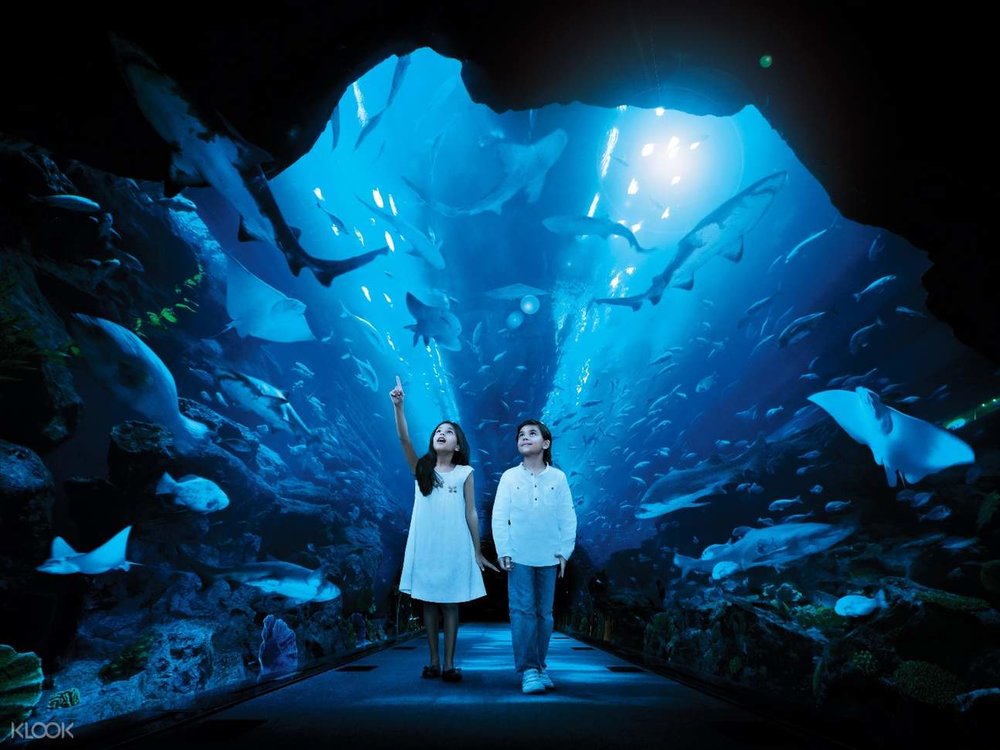 Enter an underwater wonderland at Dubai Aquarium!