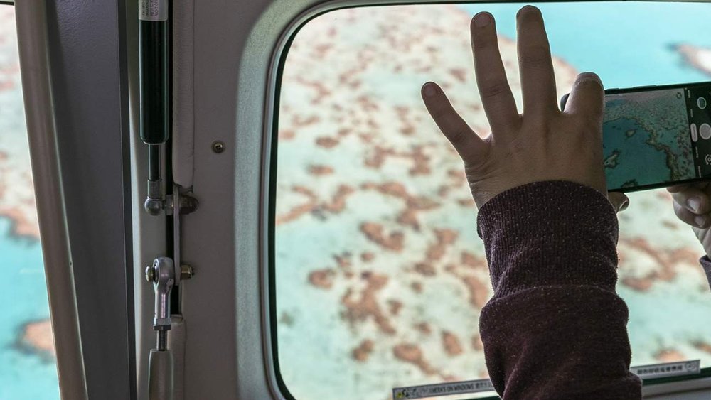 Take Instagram-worthy photos from your seat