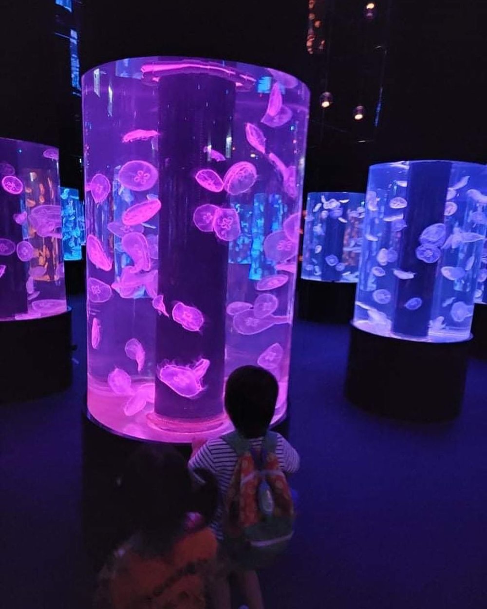 除了看海洋生物,現場設有VR和矚目的燈光。(Instagram @chunlam.mama)