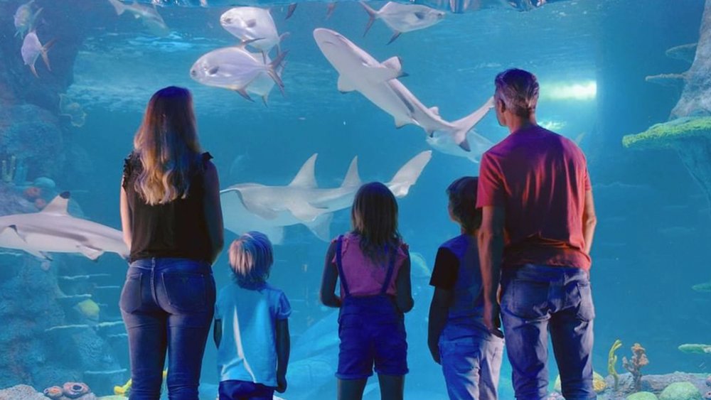 Visiting SEA LIFE Sydney Aquarium is definitely fun for the whole family! Image credits: @sealifesydneyaquarium on Instagram