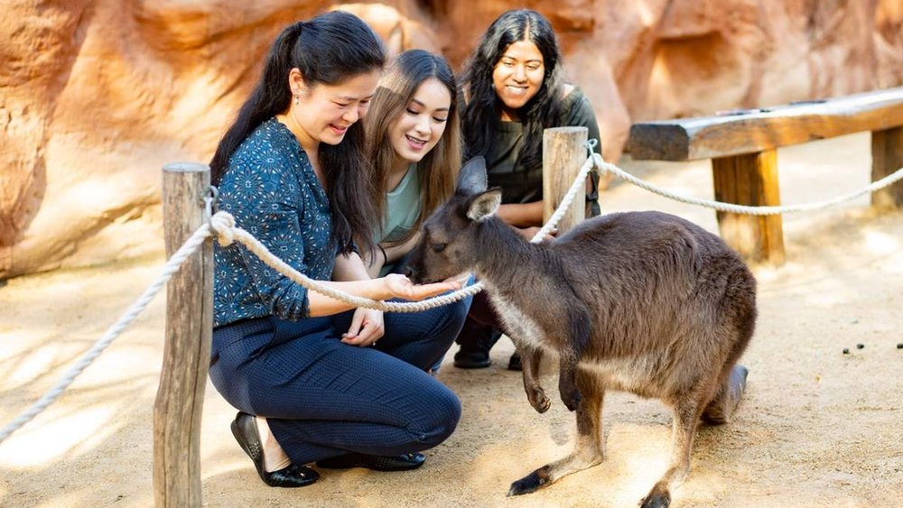 WILD LIFE is an excellent place for the family to learn about Australia’s “big five” native animals