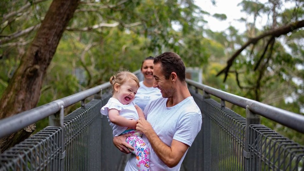 This treetops walk is suitable for the whole family! Image credits: @illawarrafly on Instagram