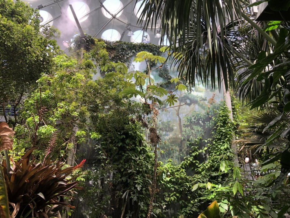 California Academy of Sciences