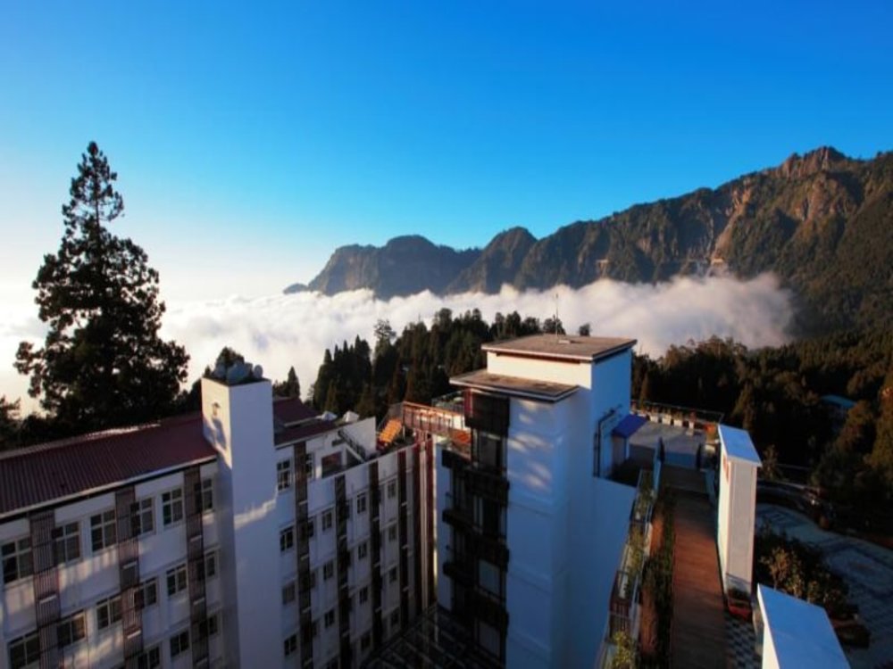 阿里山櫻花季住宿：阿里山賓館