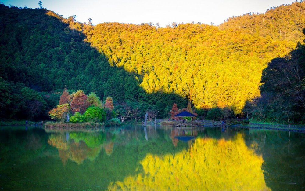 宜蘭景點：明池國家森林遊樂區