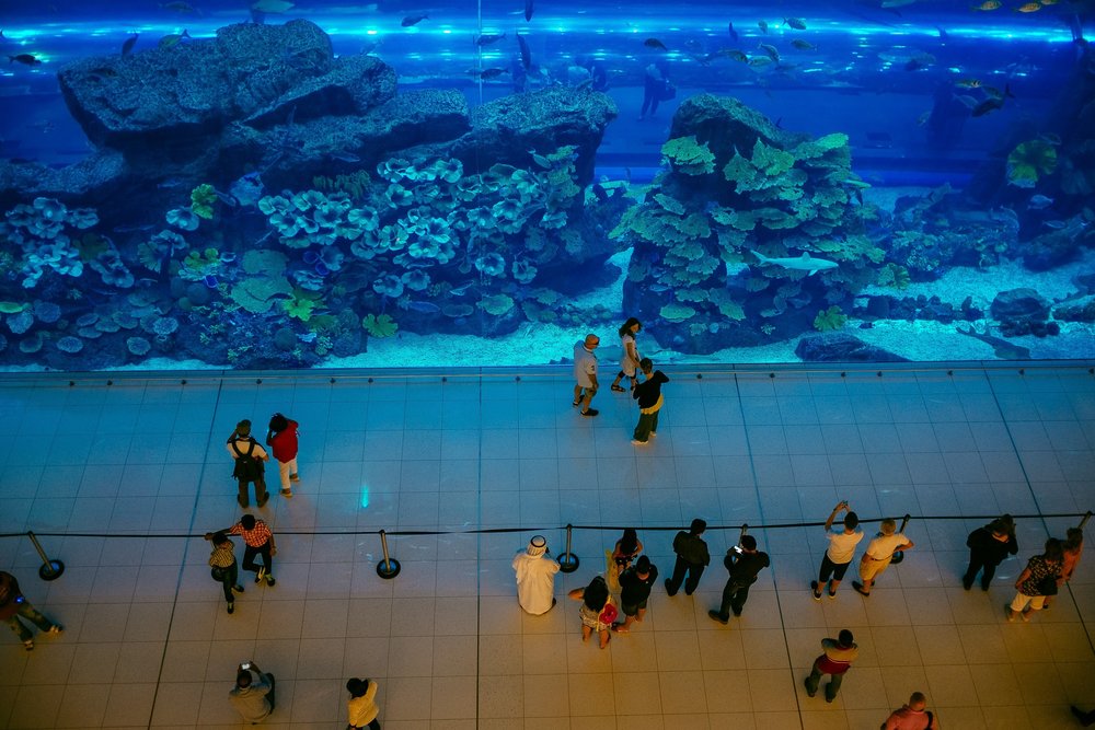 dubai aquarium with tourists