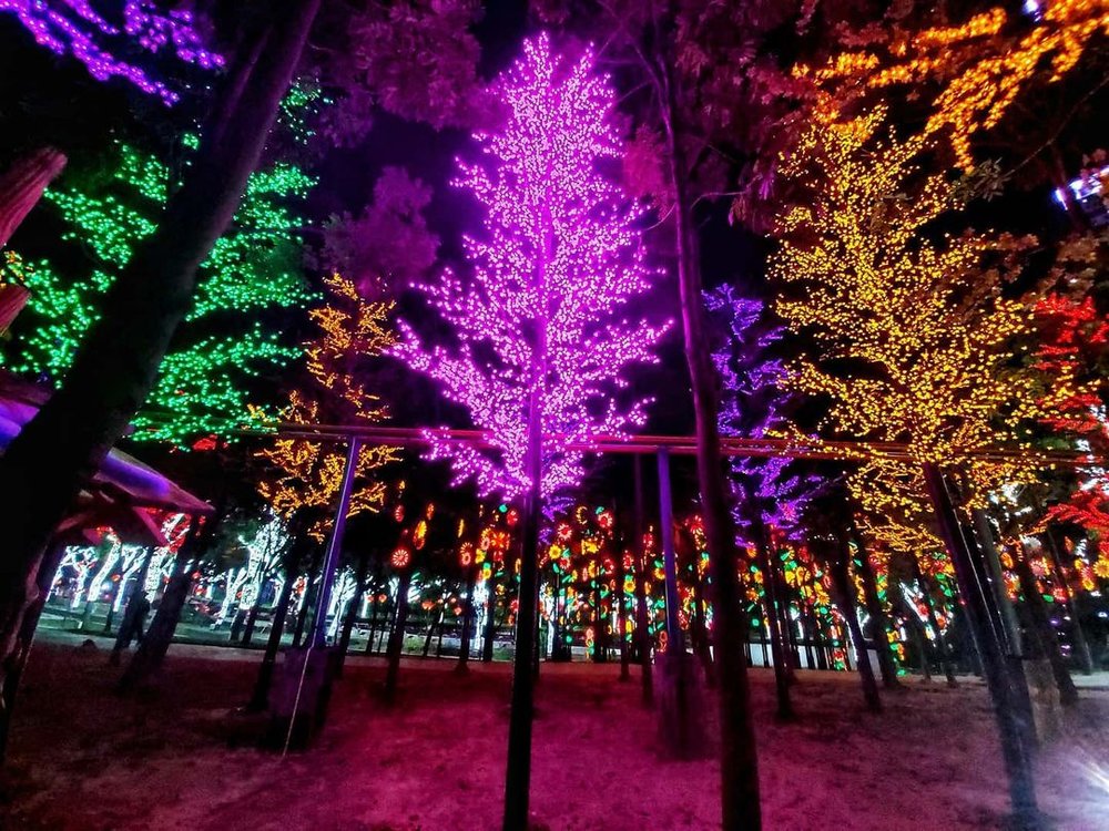 icity shah alam lights