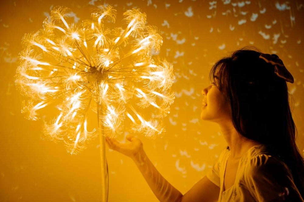 Firefly Magical Light Show melaka a'famosa