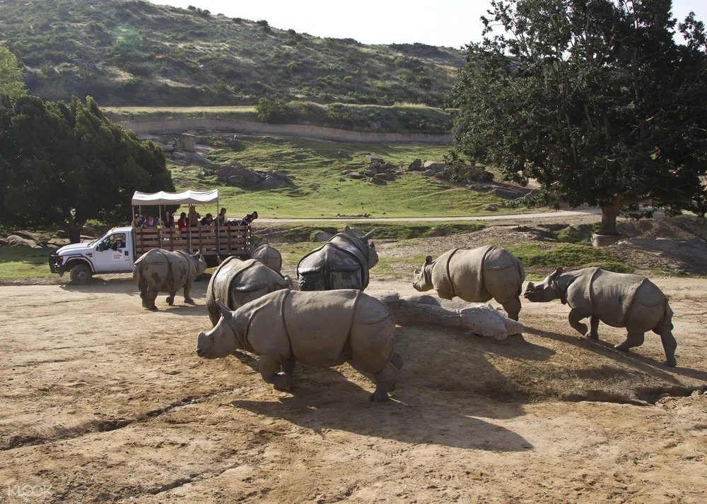 Spend a day in the wild at the San Diego Zoo Safari Park!