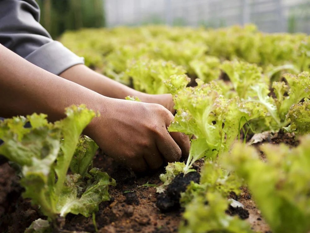La Veranda Resort Phu Quoc