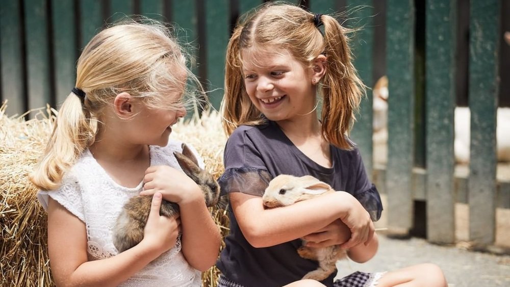 Get to cuddle adorable creatures at Oakvale Wildlife Park. Credits: @oakvalewildlifepark