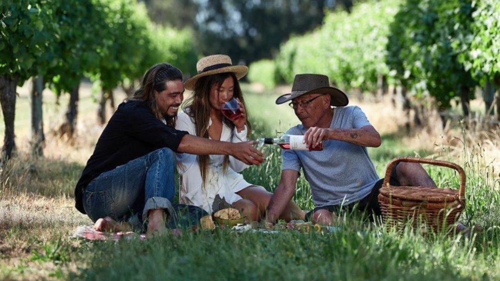 Take advantage of the great weather and go on a picnic Credit: @clairaultstreicker