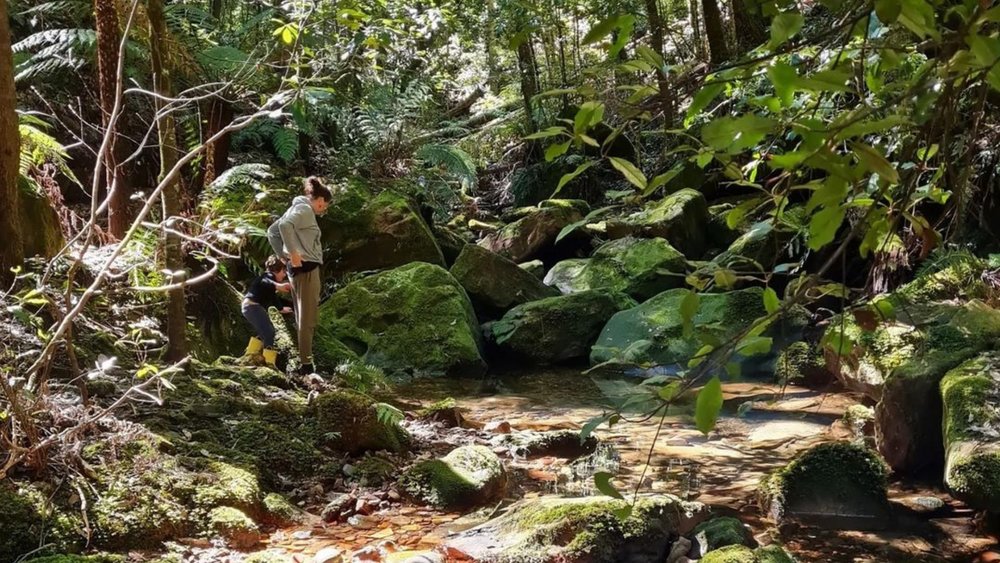 Make it an adventure as you step into one of the walking trails! Image credits: @stevenfcarter on Instagram