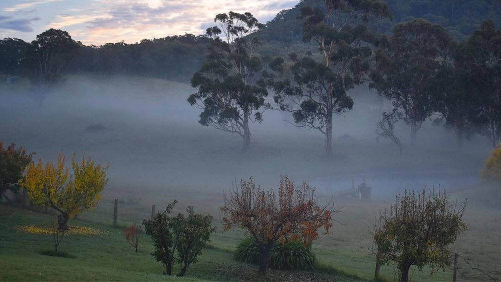 On misty days, Megalong Valley looks straight out of a fairytale! Image credits: @megalongvalley on Instagram