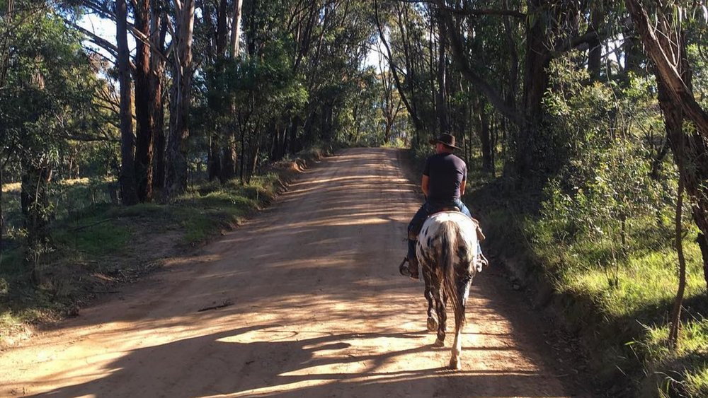 The Megalong Valley has some of the finest horse trails! Image credits: @megalongvalley on Instagram