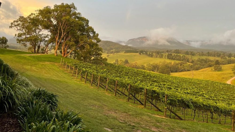 Enjoy the breathtaking views of Dryridge Estate! Image credits: @dryridgeestate on Instagram