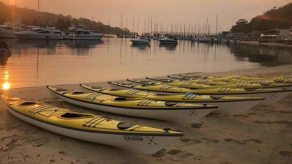 Kayaking in Sydney Harbour at Sunrise All You Need to Know Klook Travel Blog