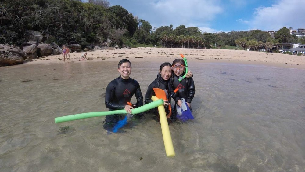 Manly’s waters are so pristine, you can even go snorkelling!