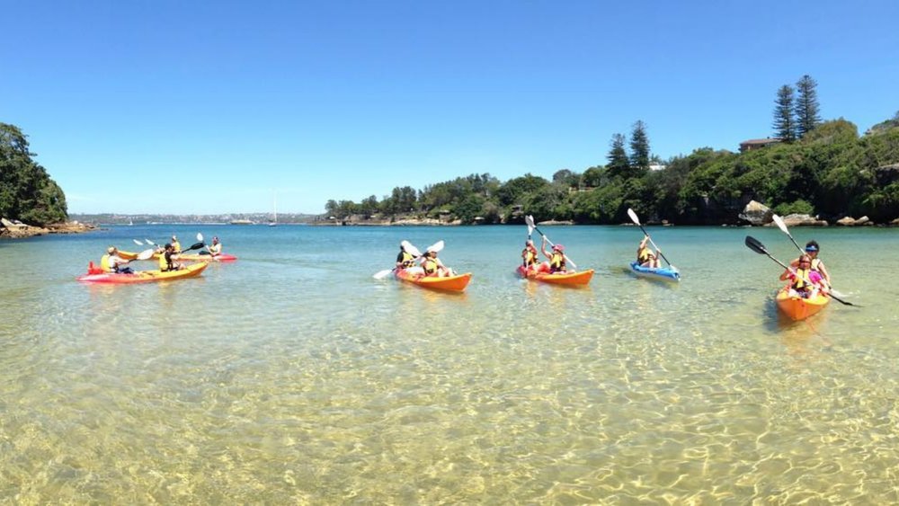 Follow your guide and paddle your way to the best spots in Manly! Image credits @manlykayakcentre on Instagram