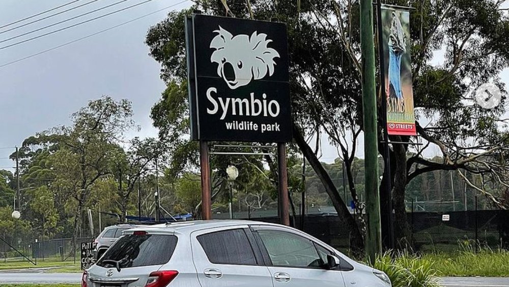 Take a short drive to Symbio Park for a fun, action-packed day. Image credit: @ding375 on Instagram
