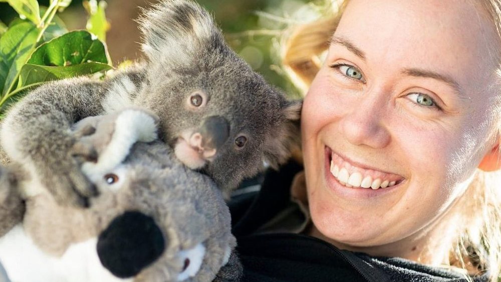 Cuddle up with koalas and take adorable pics. Image credit: @revertnoor on Instagram