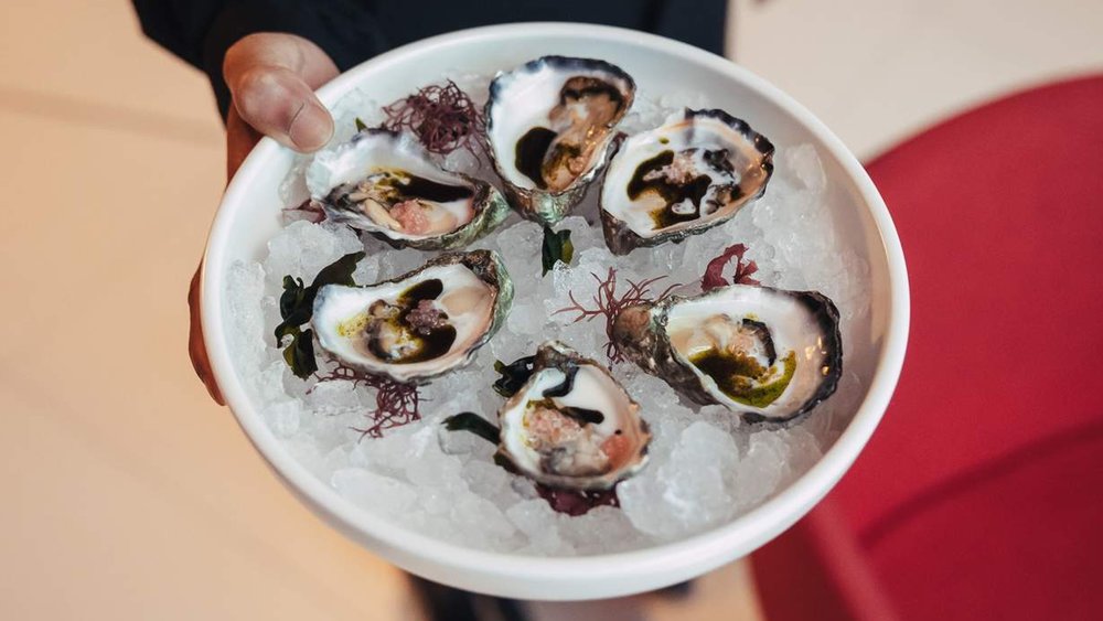 Feast on fresh and tasty Sydney rock oysters at Sydney Tower