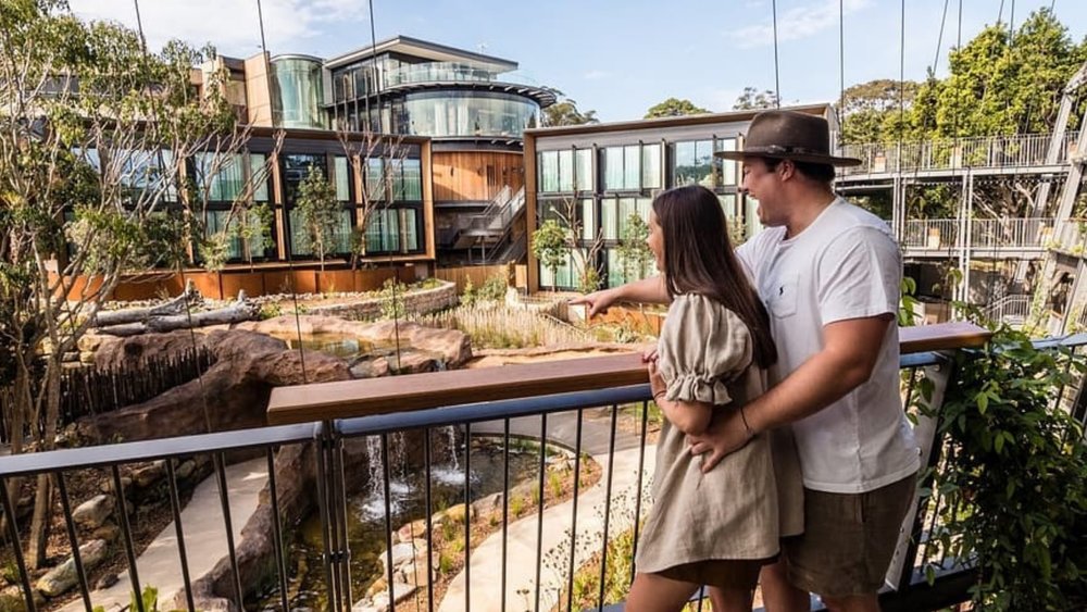 Wake up in the wilderness at Wildlife Retreat! Credits; @wildliferetreat