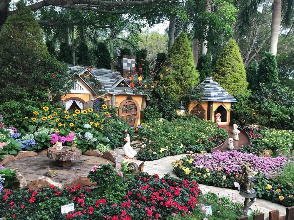 早前於大埔海濱公園舉行的十八區花卉展覽。(Instagram @potato.1223)