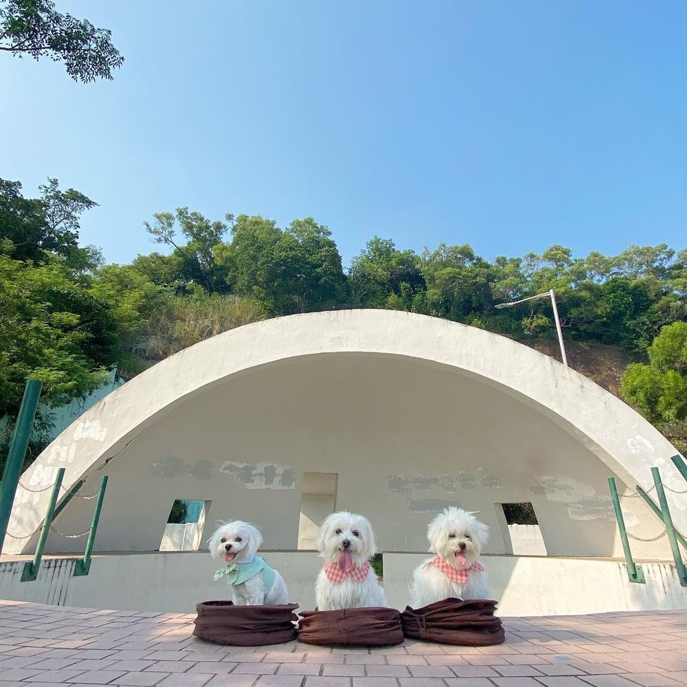 舂坎角圓拱型設計,十分有特色!(Instagram @cotton_candy_bb)