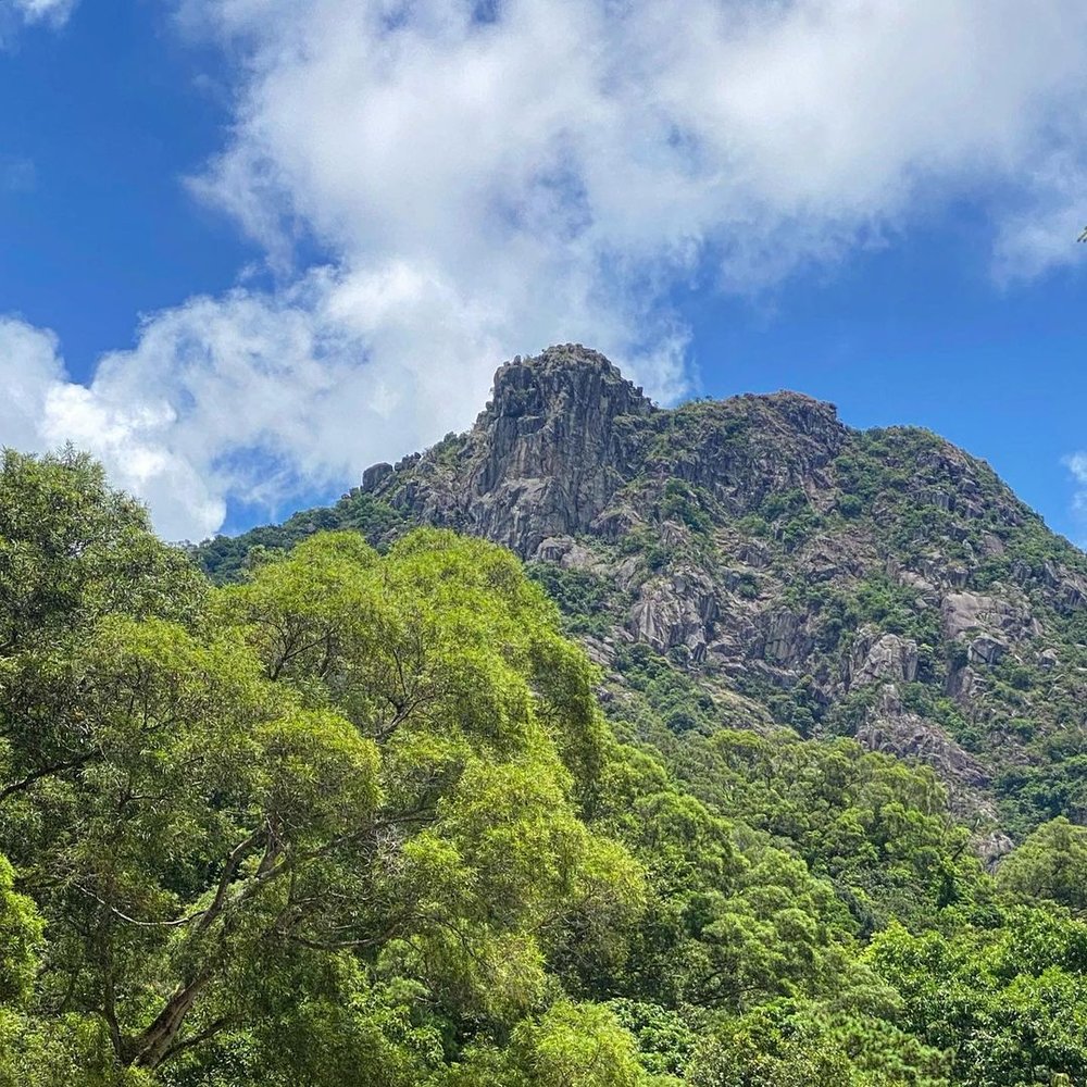 獅子山可其壯觀!(Instagram @timothygroovy)