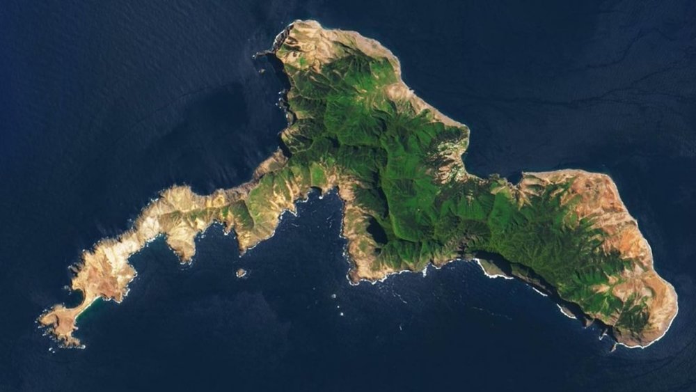 There’s no place like Robinson Crusoe Island. Image credits - @colchrishadfield on Instagram