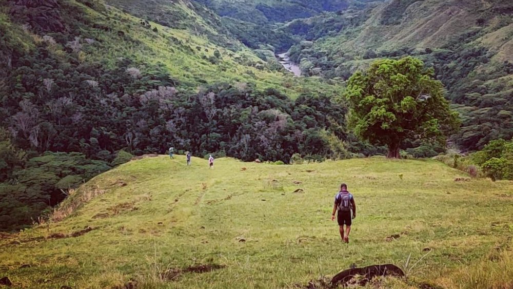 Hiking Through the Lush Greenery of Fiji. Image credits - @talanoatreks on Instagram