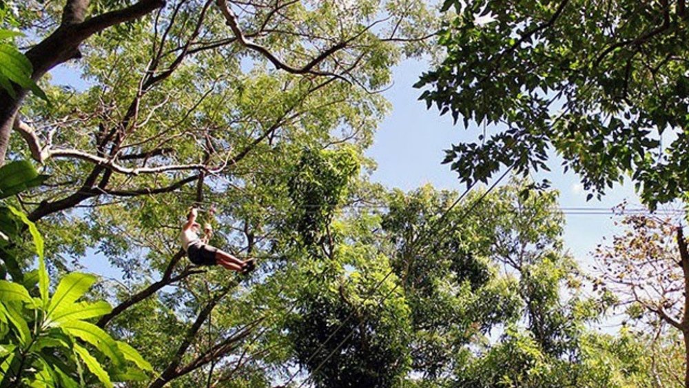 Ziplining Through the Greenery and Nature of Nadi. Image credits - @zipfiji on Instagram