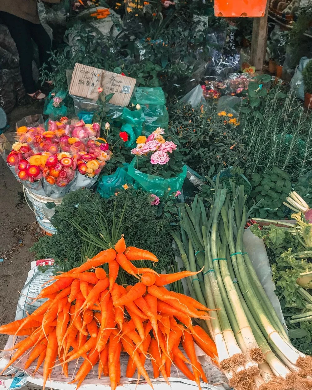 cameron highlands kea farm market