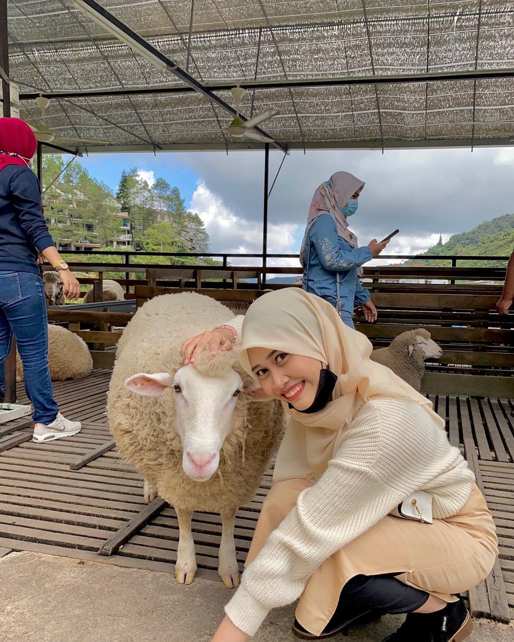the sheep sanctuary cameron highlands