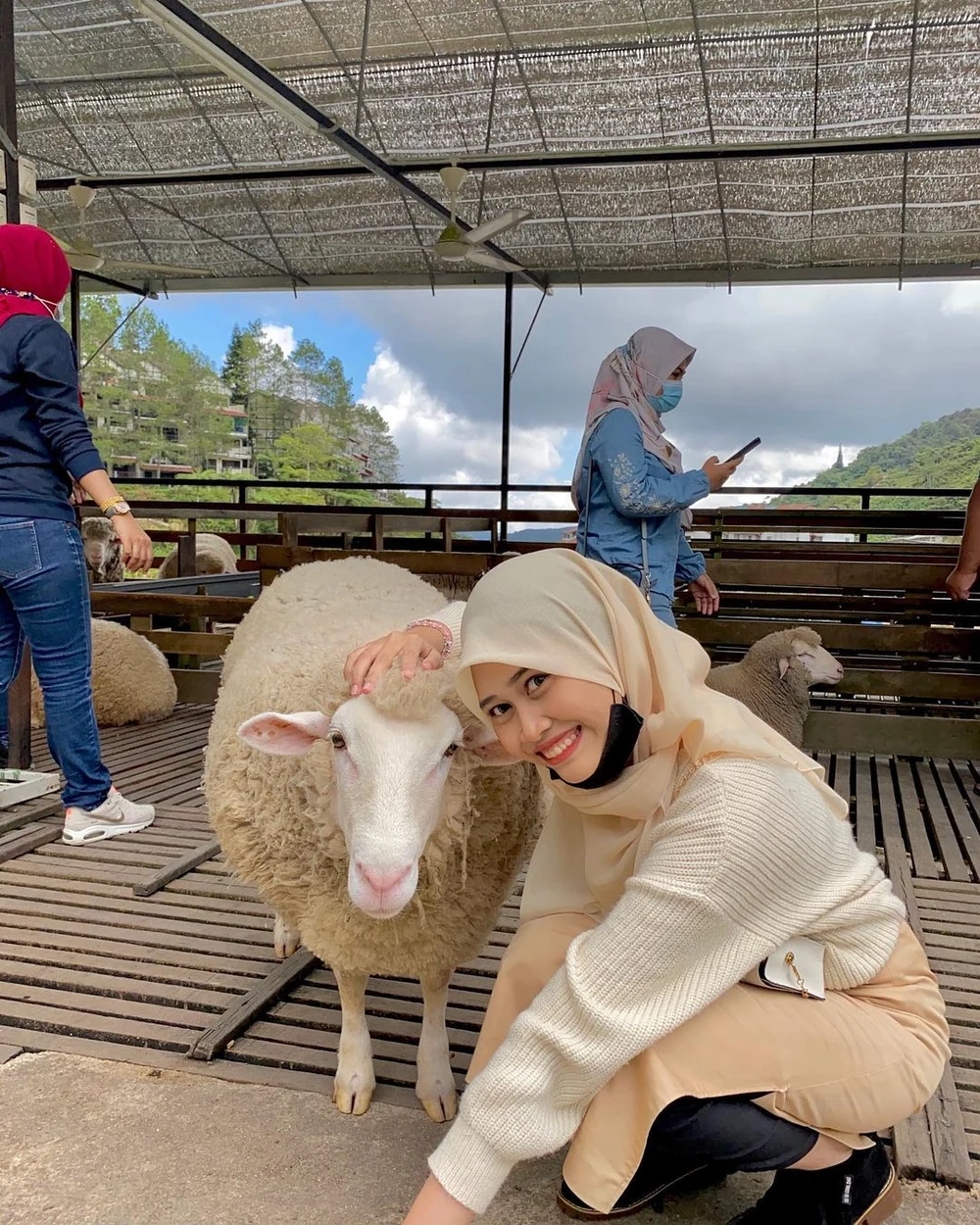 the sheep sanctuary cameron highlands