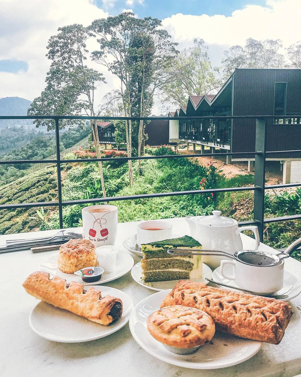 cameron highlands boh tea plantation